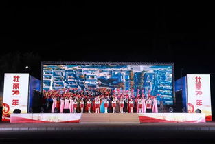 文化雷鋒情，禮贊新時(shí)代——望花區(qū)慶祝新中國(guó)成立70周年文藝匯演暨雷鋒文化核心區(qū)主題標(biāo)識(shí)、系列雕塑設(shè)計(jì)征集活動(dòng)頒獎(jiǎng)儀式圓滿舉行